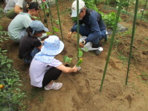 みなみすげ農園